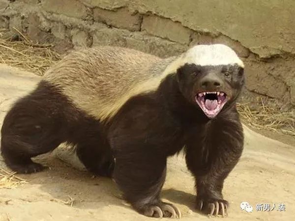 星空·综合体育